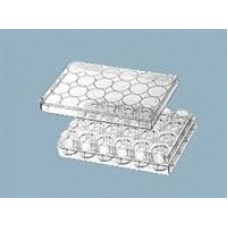 PLACA PARA CULTURA DE CÉLULAS ADERENTES, 24 POÇOS, FUNDO CHATO, EMBALAGEM INDIVIDUAL